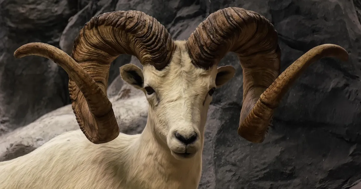 Aries and Sagittarius compatibility: bags packed, no itinerary
