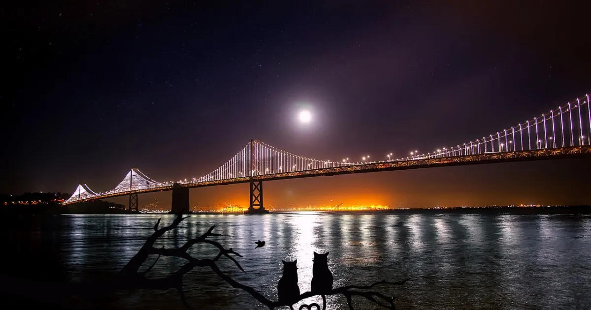 Your birth Moon phase explained: the 8 phases of the lunation cycle