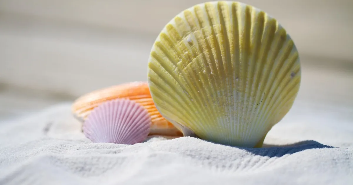 Cancer and Capricorn compatibility: the home and the world outside it