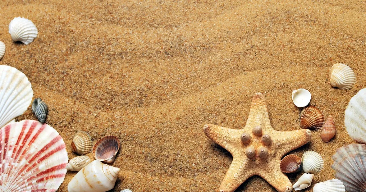 Cancer and Virgo compatibility: care that actually gets done
