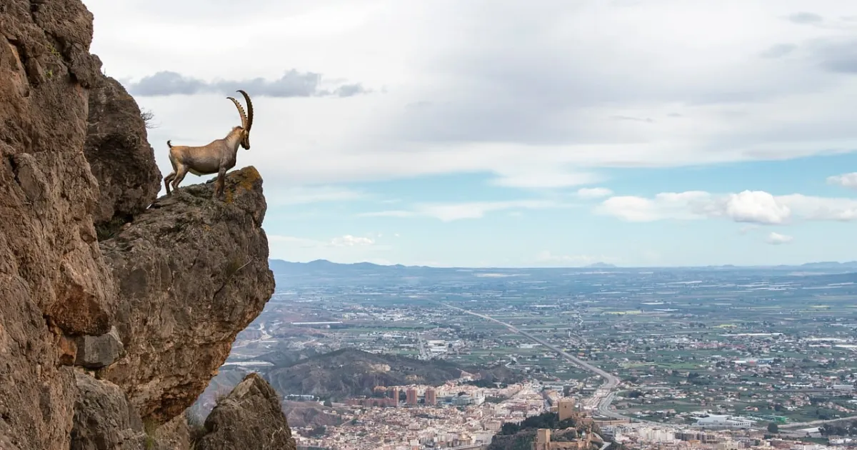 Capricorn and Capricorn compatibility: a relationship run like a well-built company