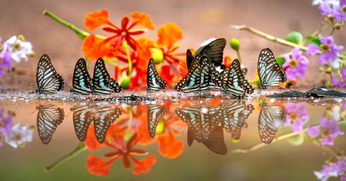Gemini and Cancer compatibility: the talker and the one who remembers