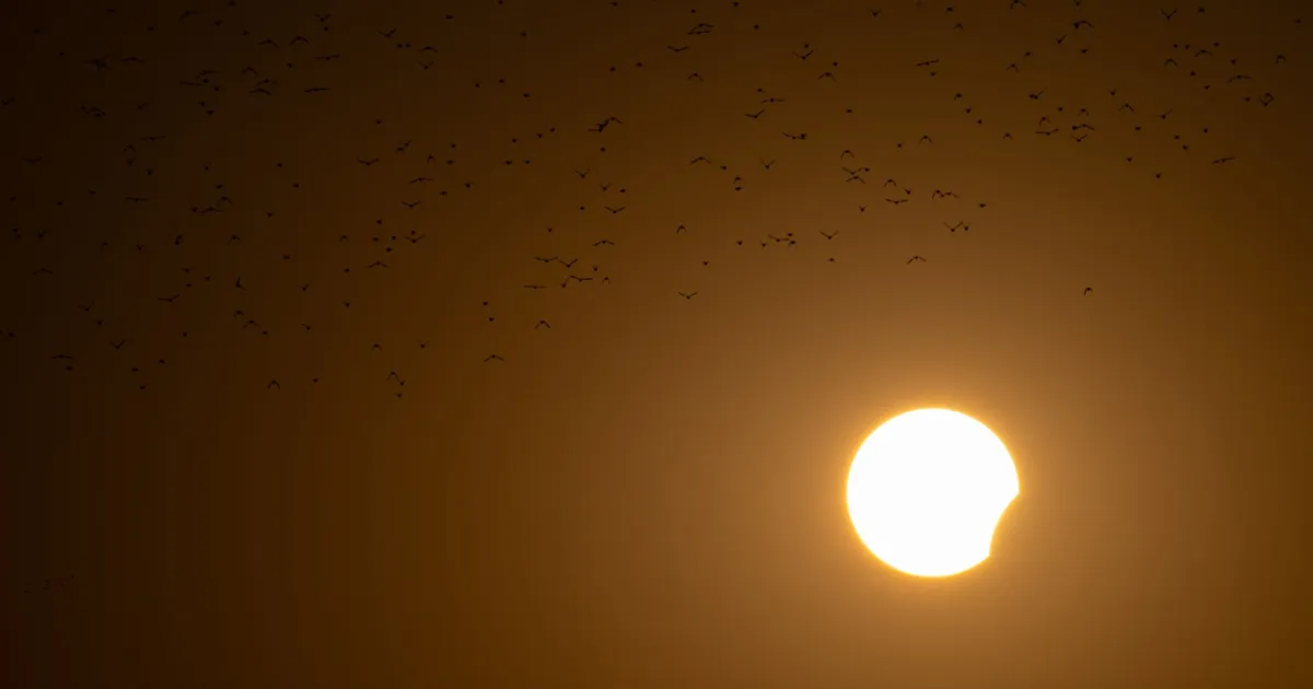 Transit Jupiter conjunct natal Venus: more warmth, more money, more of everything