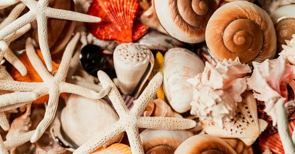Jupiter in Cancer: a generous heart and a full home