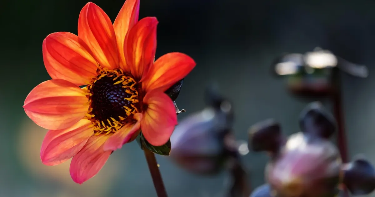 Jupiter in Taurus: abundance you can hold in your hands