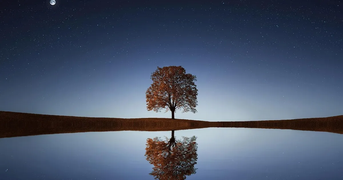 Transit Jupiter trine natal Midheaven: recognition comes more easily