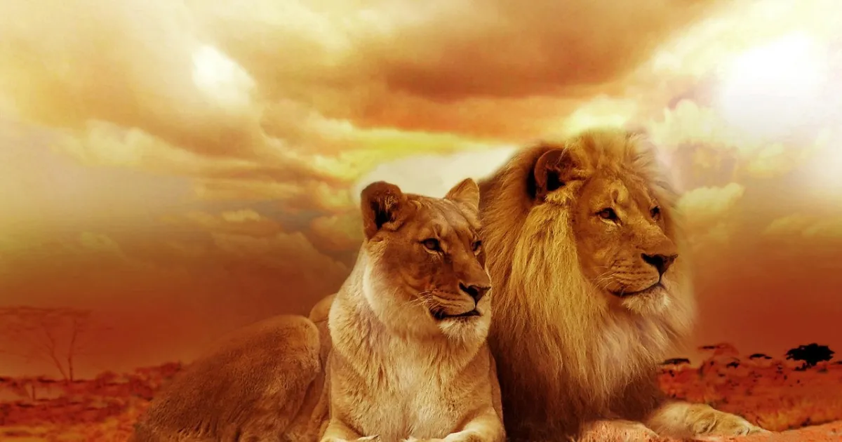 Leo and Scorpio compatibility: a standoff with real heat