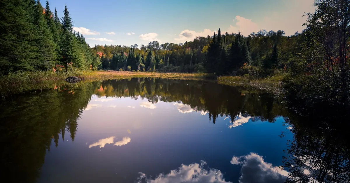Moon trine Mercury: saying what you feel, easily