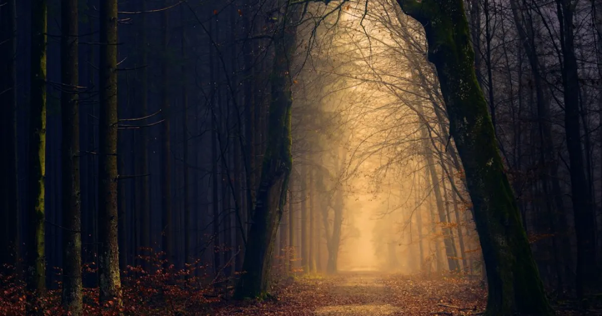 Neptune transit through the 12th house: quiet years, deep healing