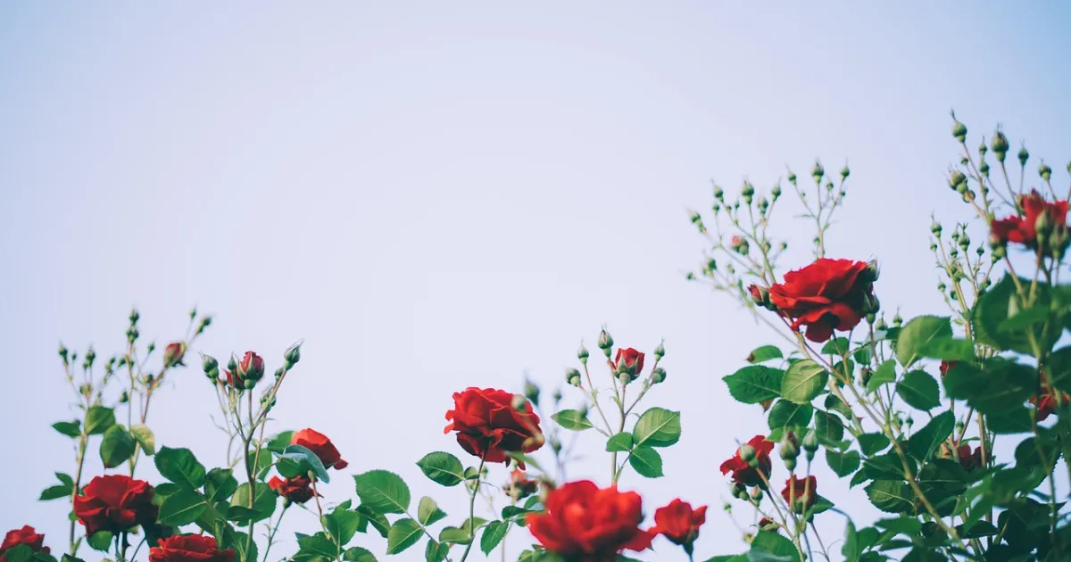 Pluto in Taurus: who owns what, and why