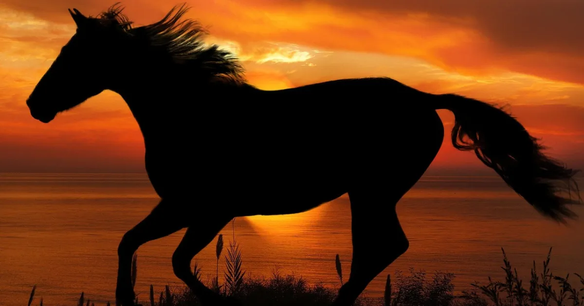 Sagittarius and Capricorn compatibility: the explorer meets the climber