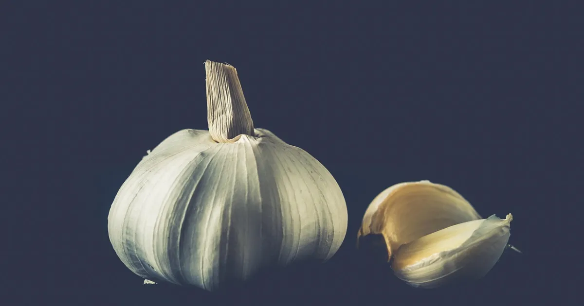 Saturn in Virgo: the craft of doing it right