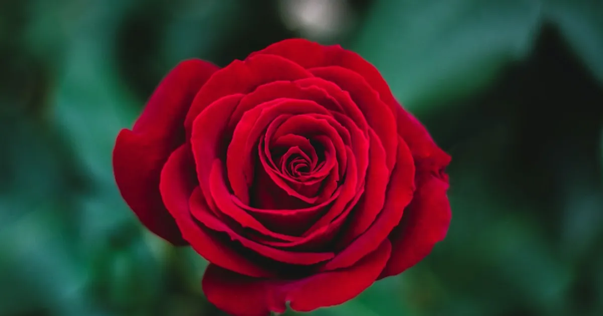 Scorpio and Capricorn compatibility: a power couple that plays the long game