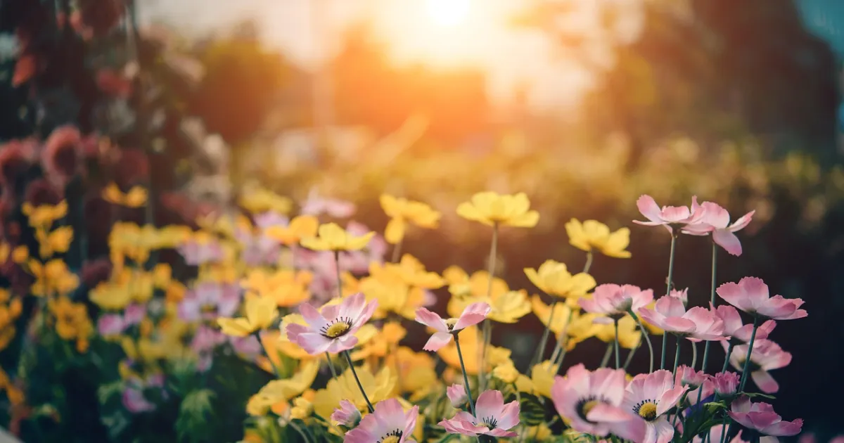 Taurus and Leo compatibility: loyalty, luxury and a battle of wills