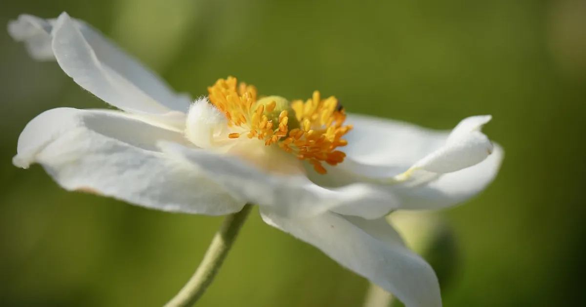 Taurus and Virgo compatibility: practical love that quietly works