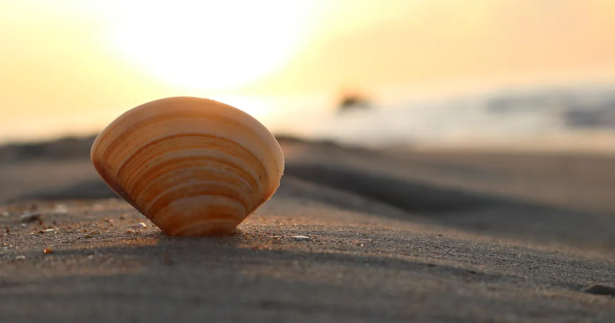 Uranus in Cancer: rewriting what home feels like