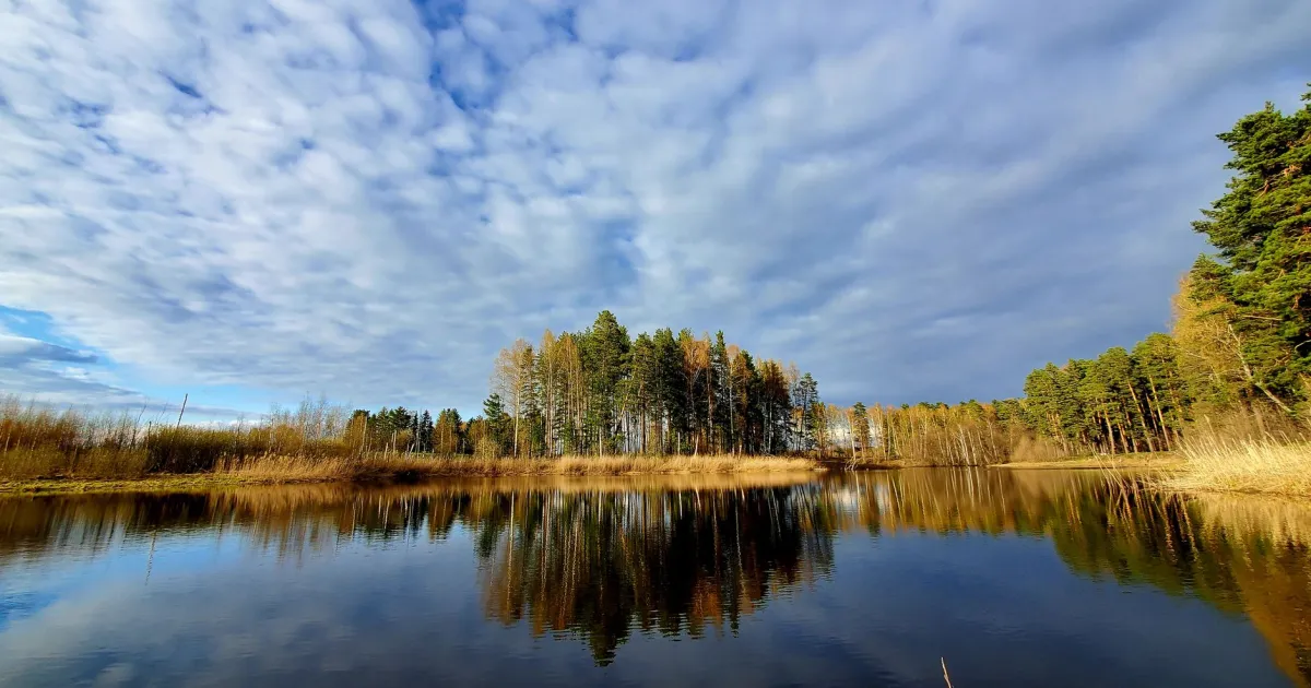 Transit Uranus trine natal Midheaven: momentum for the work that fits you