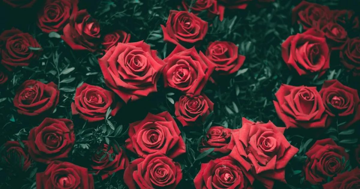 Venus conjunct Neptune: the romantic who sees what could be