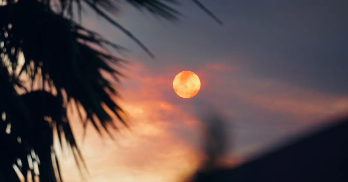 "Cung thứ 13": vì sao chuyện Ophiuchus cứ quay lại, và vì sao cung của bạn không đổi