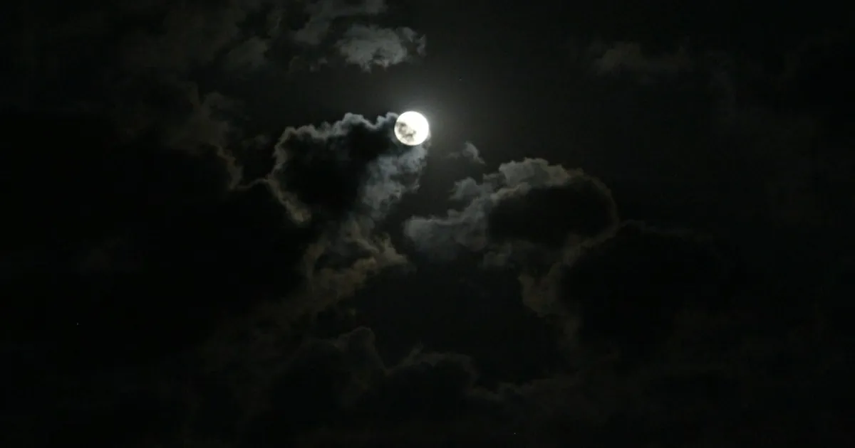 Trăng non và Trăng tròn rơi vào nhà nào của bạn: đọc chu kỳ tháng theo lá số riêng