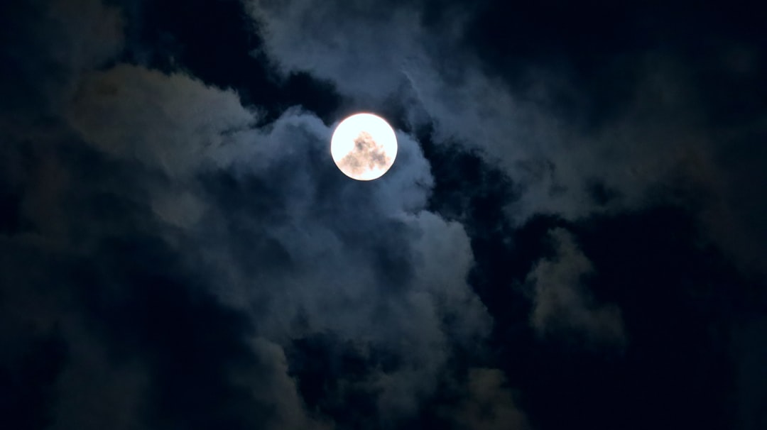New Moon and Full Moon in your houses: the monthly cycle, read personally